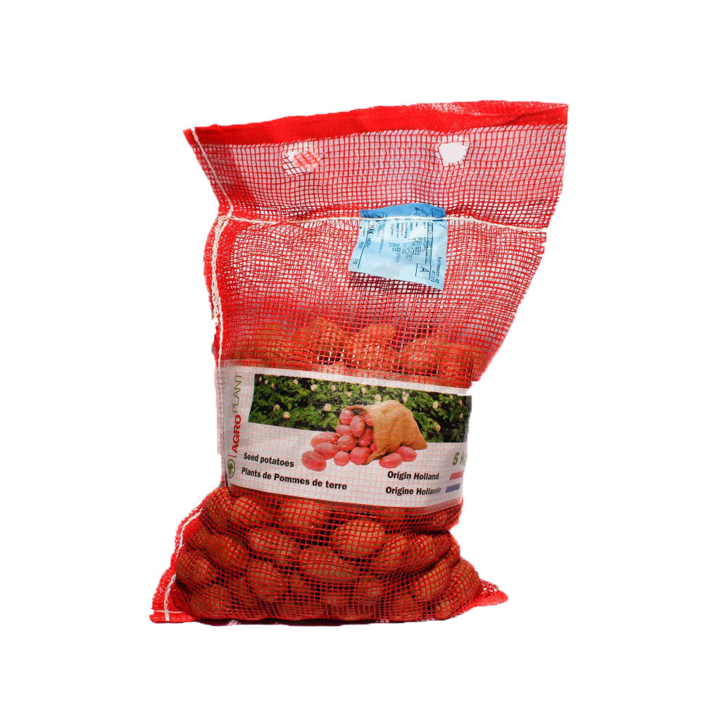 Cartofi de sămânță rosii Desiree 5KG - Clasa A - Calibru 28/35 - Olanda