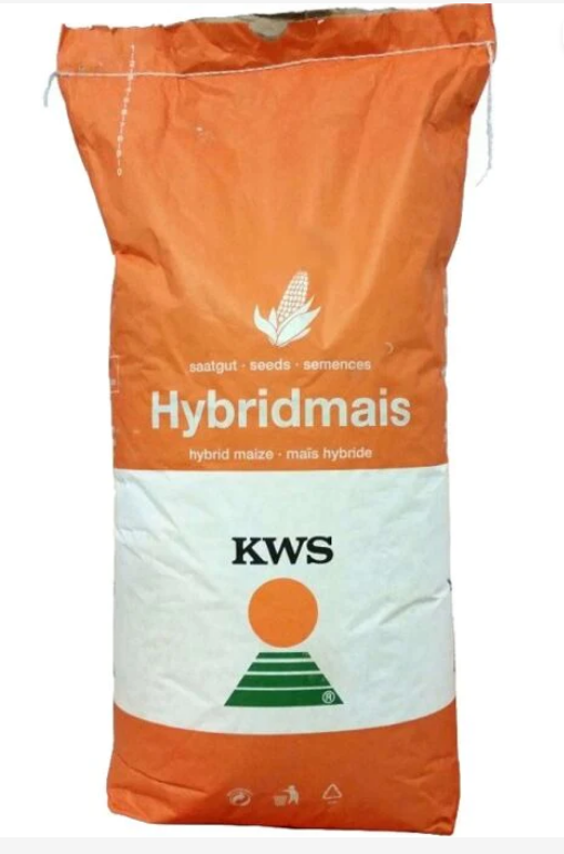 Samanta porumb KWS 2370, FAO 290 25.000 boabe